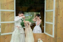 -莫兰迪婚纱摄影