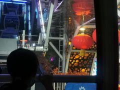 -幻彩摩天轮
