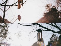 -黑龙潭风景区