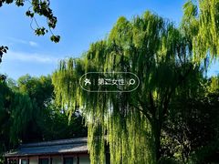 -济南大明湖景区