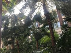 -盘锦生态酒店-火锅餐厅