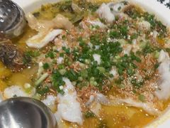 -金三可市井水煮鱼(金碧园店)