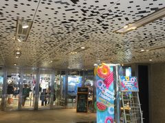 -崇光百货(尖沙咀店)