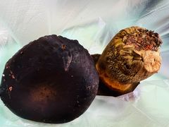 -菌粹源野生菌(木水花市场店)