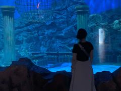 -芜湖新华联大白鲸海洋公园