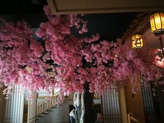 -上鸿汤泉•易营+