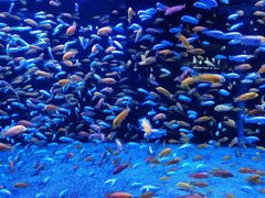 -成都浩海立方海洋公园