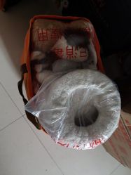 -玛瑞莎孕婴童摄影到家拍