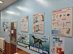 -瑞派·关忠动物医院·异宠专科·犬猫肿瘤·皮肤专科(望京店)