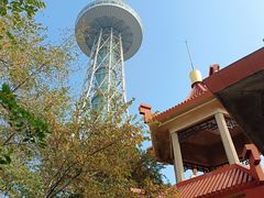 -青岛电视塔
