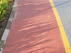 -回龙观体育文化公园