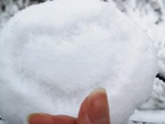 -武陵山森林公园