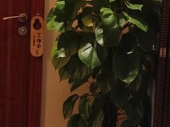 -裕和堂中医推拿艾灸(太古汇臻品店)