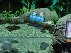 -南昌海洋公园