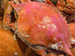 飞蟹-奔海甄选·活鲜刺身铁板烧自助(太原里店)