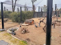 -武汉动物园