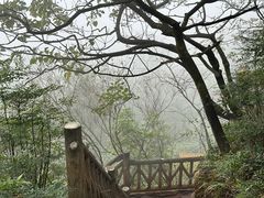 -綦江古剑山