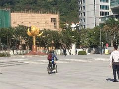 景点-金莲花广场