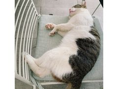 -UNI UNI(环亚凯瑟琳店)