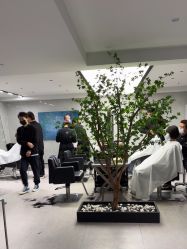 -付军剪艺JF ProSalon