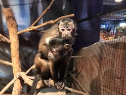 -酷嗒动物文化乐园(cutezoo西溪乐天城店)