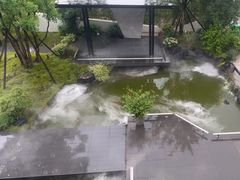 -雅苑中餐厅