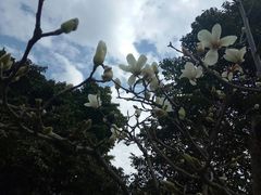 -罗坪山