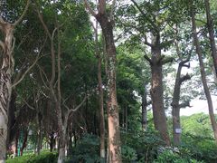 -五通灯塔公园