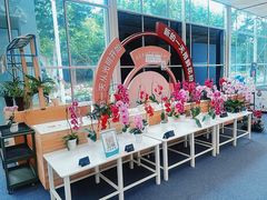 -上海鲜花港