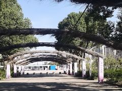-南汇桃花村