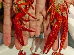 -虾皇(龙虾城旗舰店)