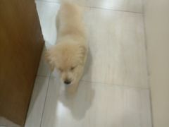 -佳雯宠物医院(四明中路分院)