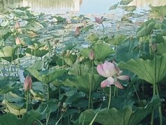 -满都海公园