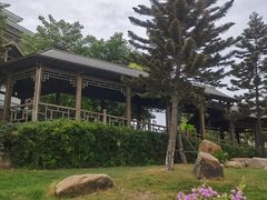 -五缘湾湿地公园