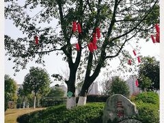 -沙河三洞古桥公园