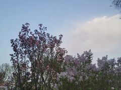 -迎泽公园