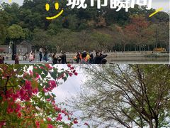 -顺峰山公园