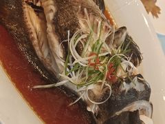 -百富源·海鲜辽菜(和平北大街店)