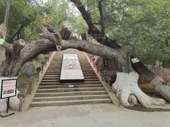 -水磨沟公园