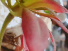 -红辣椒·川菜·火锅(张杨路店)