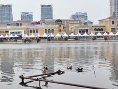 -WhaleSports户外水上运动俱乐部(朝阳公园店)