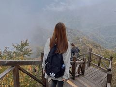 -大岭沟猕猴桃谷风景区