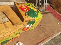 -大连果菜批发市场