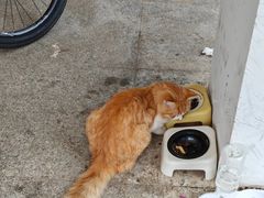 -山东大学(威海校区)