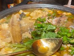 -探鱼·鲜青椒爽麻烤鱼(北京路天河城店)