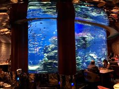 -迪拜帆船酒店海底餐厅