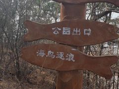 -西尖山公园