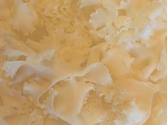 -蝎王府羊蝎子(西直门店)