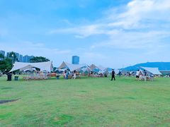 -光明小镇欢乐田园