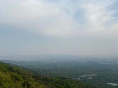 -紫金山山顶公园